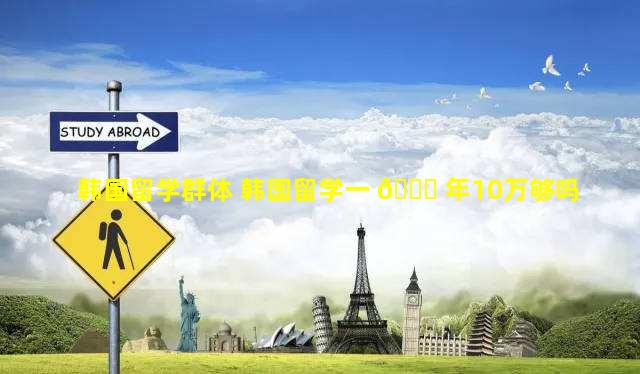 韩国留学群体 韩国留学一 🍀 年10万够吗